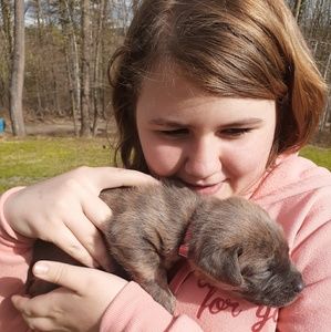 Meet your Posher, Shyla